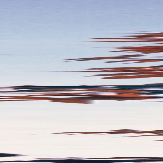 AbstractedLeaves2 copy