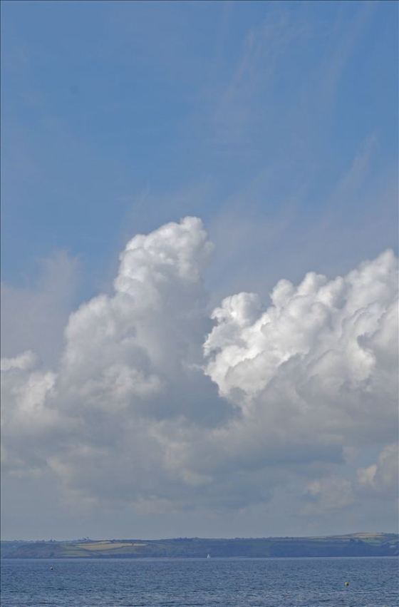 vcm_s_kf_repr_584x888